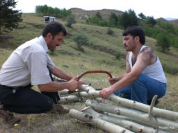 Harmancık 2007